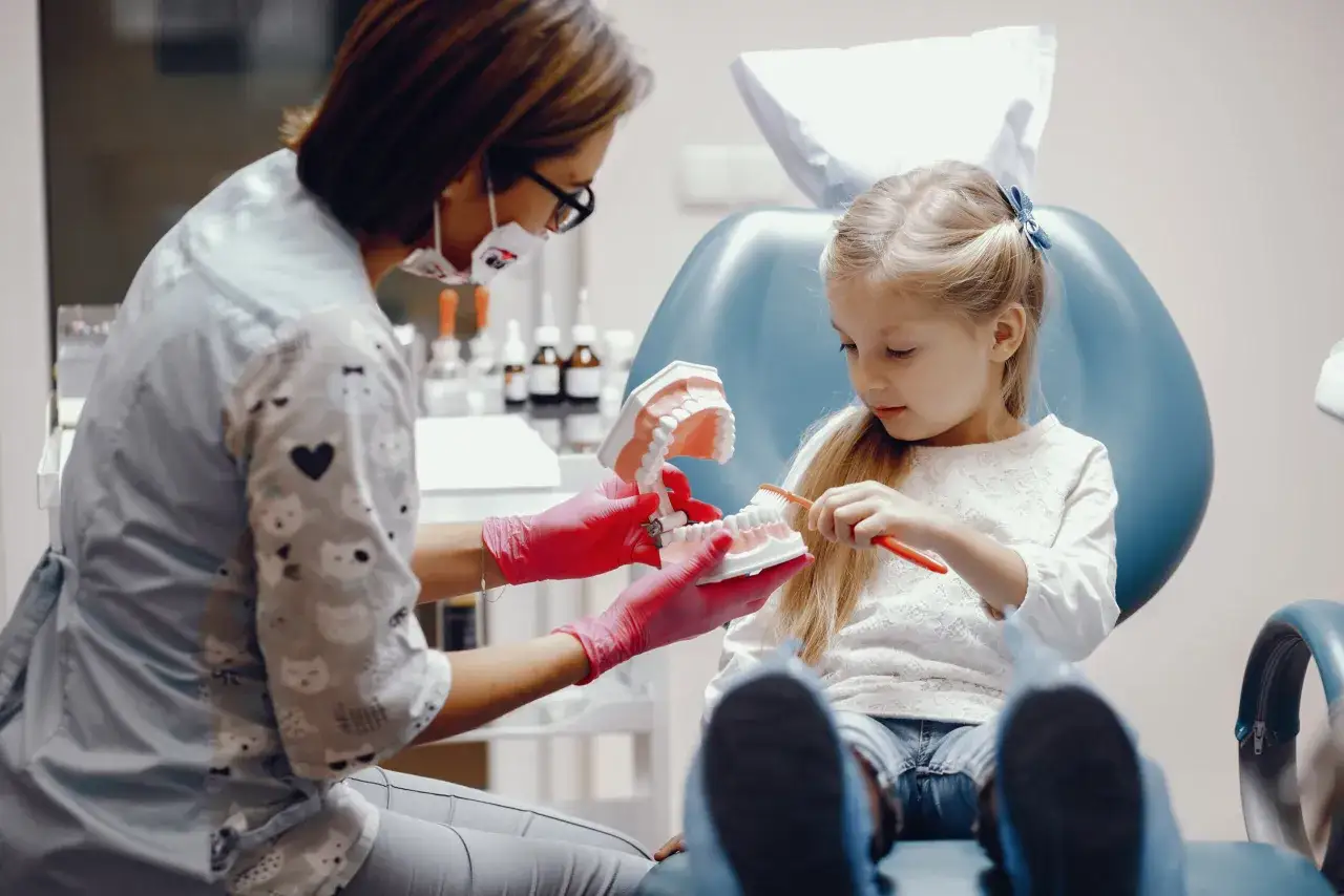 Dentystka pokazuje dziecku, jak dbać o zęby, gdy boli ząb mleczak. Model szczęki i szczoteczka pomagają w nauce.